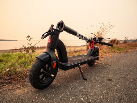 GOTRAX G4 Electric Scooters